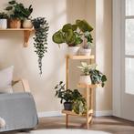 2dekans | SoBuy STR12-N 3-laags houten plantenrek – naturel, Huis en Inrichting, Kasten | Boekenkasten, Ophalen of Verzenden, Zo goed als nieuw