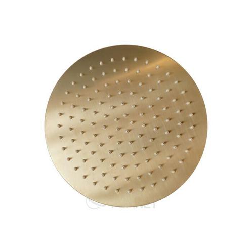 Sani Royal Douchekop Rond Goud 25 cm, Doe-het-zelf en Verbouw, Sanitair