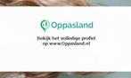 Ik ben Jasmijn, 21 jaar oud en ik zoek oppaswerk in Groni..., Diensten en Vakmensen, Oppas en Kinderopvang