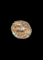 Oud-Grieks, West-Anatolië Zilver Hemitetartmorion (Zonder