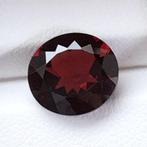 Zonder Minimumprijs Rood Granaat  - 4.84 ct - International, Nieuw