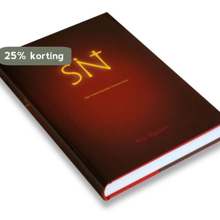Sint 9789079107018 Els Ruiters, Boeken, Kinderboeken | Jeugd | 10 tot 12 jaar, Zo goed als nieuw, Verzenden