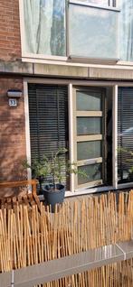 Te huur: Appartement Van de Beltstraat in Haarlem, Huizen en Kamers, Noord-Holland, Appartement, Haarlem