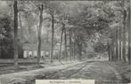 DENEKAMP - Bij Singraven, Verzenden, Gelopen
