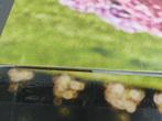 Gardena Wandslangenbox RollUp M/L -, Tuin en Terras, Tuinslangen, Verzenden, Nieuw