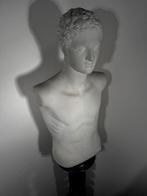 sculptuur, Busto maschile classico - 75 cm - Gips, Antiek en Kunst