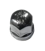 Beschermdop Wielmoer RVS 33mm voor SCANIA Griffioe, Auto-onderdelen, Vrachtwagen-onderdelen, Ophalen of Verzenden, Nieuw