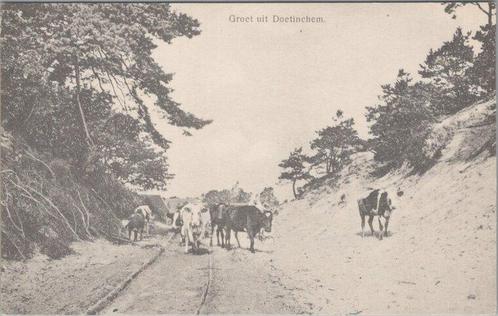 DOETINCHEM - Groet uit Doetinchem, Verzamelen, Ansichtkaarten | Nederland, Verzenden