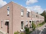 Huis Safarigeel in Zoetermeer, Overige soorten, Zuid-Holland