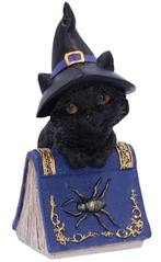 Nemesis Now Gothic Giftware Collection-Pocus (Diversen), Verzamelen, Beelden en Beeldjes, Ophalen of Verzenden, Nieuw