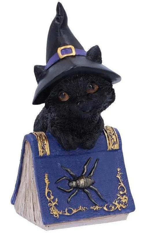 Nemesis Now Gothic Giftware Collection-Pocus (Diversen), Verzamelen, Beelden en Beeldjes, Nieuw, Ophalen of Verzenden