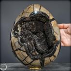 Septarien Calciet Geode Ei – Monumentaal Luxeobject uit