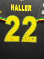 AFC Ajax - Nederlandse voetbal competitie - Sebastien Haller, Nieuw