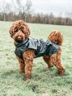 Honden Regenjas Raindog Black - alleen Maat XS en S, Dieren en Toebehoren, Ophalen of Verzenden, Nieuw, Hondenregenjas