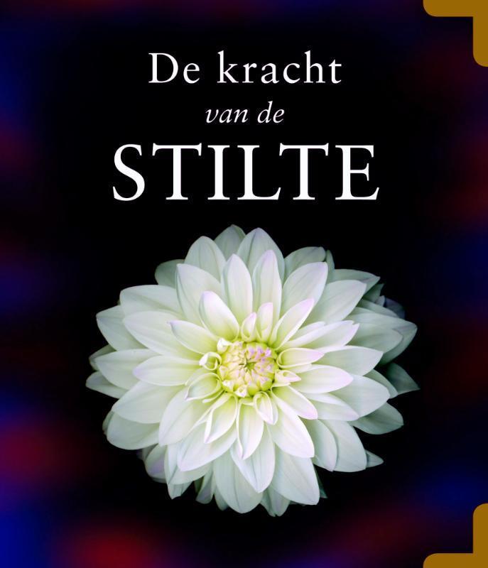De kracht van de stilte 9789045306315 V. Eswaran, Boeken, Esoterie en Spiritualiteit, Zo goed als nieuw, Verzenden