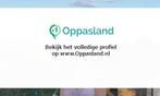 Ik ben Arrianne, 18 jaar oud en ik zoek oppaswerk in Nijm...