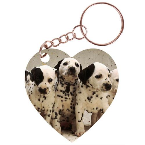 Sleutelhanger hartje 5x5cm - Dalmatier Puppies op Rij NIEUW, Verzamelen, Sleutelhangers, Nieuw, Ophalen of Verzenden