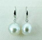 Oorbellen - 18 karaat Witgoud Parel - Parel - Zuidzee , Echt, Nieuw