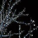 Professionele kerstverlichting voor de Hovenier koppelbaar, Diversen, Ophalen of Verzenden, Nieuw