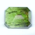 1 pcs Groen Olivijn - 19.17 ct - nternational Colored, Sieraden, Tassen en Uiterlijk, Nieuw