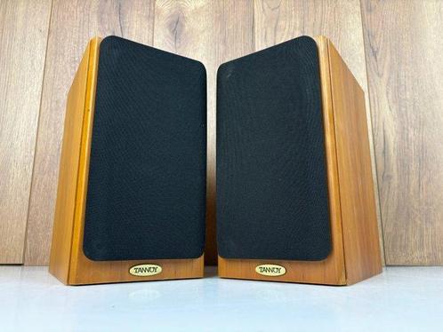 Tannoy - Revolutie R1 - Bijpassend paar Luidsprekerset, Audio, Tv en Foto, Radio's