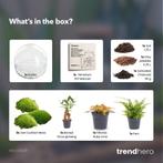 DIY Planten terrarium tweedelig bolglas - Dome XL Bonsai - Ø, Verzenden