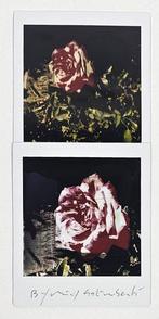 Maurizio Galimberti (1956–) - BiFlowers - 10968