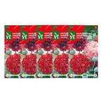 Klaprooszaad | VT | 5 stuks (Groot), Verzenden