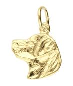 Gouden Rottweiler kop ketting hanger, Verzenden, Nieuw