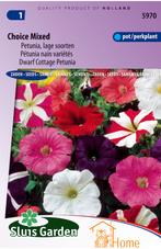 Petunia Lage Soorten Gemengd Zaden, Compacte Petunia voor, Tuin en Terras, Verzenden