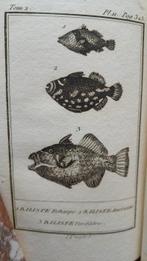 Lacépède - Histoire naturelle des poissons Volumes 2 et 4 -