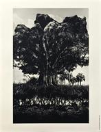 Jerry Uelsmann - Rock Tree, 1969