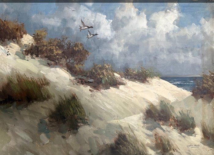 Doris Berke (1903-1991) - Vliegende eenden boven, Antiek en Kunst, Kunst | Schilderijen | Klassiek