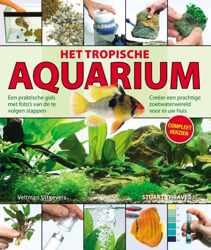 Het tropische aquarium 9789048313242 Stuart Thraves, Boeken, Hobby en Vrije tijd, Gelezen, Verzenden