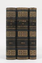 Johannes Theodoor Buijs - De grondwet - 1883-1888