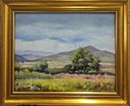 Joan Oriol (1945) - Pradera sin prisa - NO RESERVE, Antiek en Kunst, Kunst | Schilderijen | Klassiek
