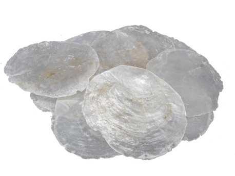 Capiz shell camar schelpen 1 kilo 5-10 cm, Hobby en Vrije tijd, Knutselen, Nieuw, Ophalen of Verzenden