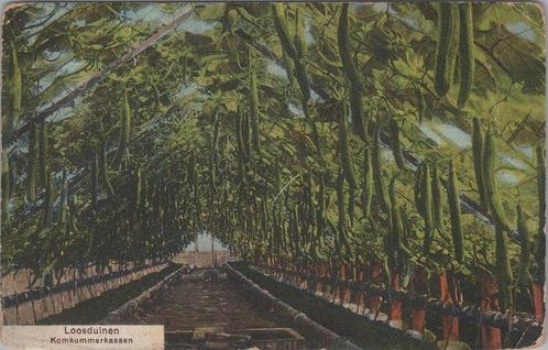 LOOSDUINEN - Komkommerkassen, Verzamelen, Ansichtkaarten | Nederland, Verzenden