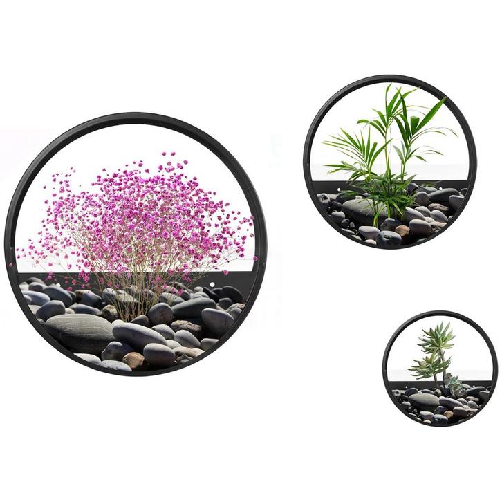 TRUUSK Set van 3 Wand-Plantenbakken - Voor Vetplanten & Cact, Tuin en Terras, Bloembakken en Plantenbakken, Nieuw, Verzenden
