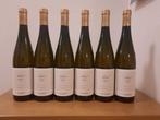 2023 Weingut Markus Huber, Getzerdorf Berg Riesling, Nieuw