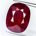 Zonder Minimumprijs Robijn - 8.14 ct - Lotus Gemology - Rich, Nieuw