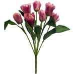 Tulpen bundel boeket beauty, Huis en Inrichting, Nieuw, Ophalen of Verzenden