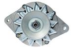 Dynamo / Alternator NISSAN TRADE (3.0 TDiC), Ophalen of Verzenden, Nieuw