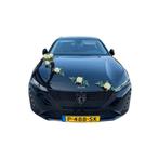 Trouwauto autodecoratie céline geel, Hobby en Vrije tijd, Ophalen of Verzenden, Nieuw, Versiering, Geboorte of Huwelijk