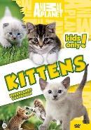 Animal planet - Kittens - DVD, Cd's en Dvd's, Verzenden, Nieuw in verpakking
