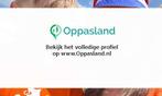 Emily zoekt een oppas in Helvoirt voor 3 kinderen voor 4..., Vacatures, Vacatures | Schoonmaak en Facilitaire diensten