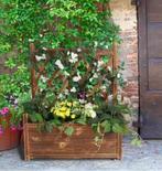 Verhoogde Plantenbak Trellis Klimplanten Tuin Patio Binnen, Verzenden, Nieuw