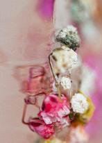 Julia Posta - Baroque No.5