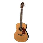 Richwood A-65-VA Master Series handgemaakte auditorium OOO, Ophalen of Verzenden, Nieuw