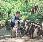 AquaZoo kaartjes: Gratis of met Hoge Korting!, Drie personen of meer, Ticket of Toegangskaart